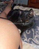 Анкета проститутки Дарья - метро Сокольники, возраст - 22